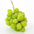 Menindee Seedless