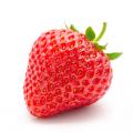 Strawberry - (Camarosa)