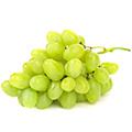 Thompson Seedless