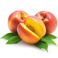 Yellow Nectarine