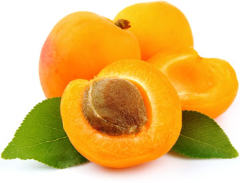 Apricot